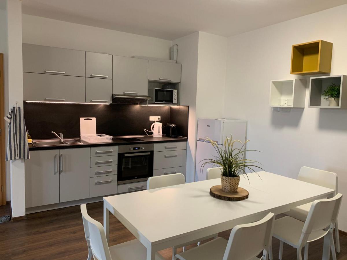 Apartmany Stare-Hory Krkonose Roudnice 외부 사진